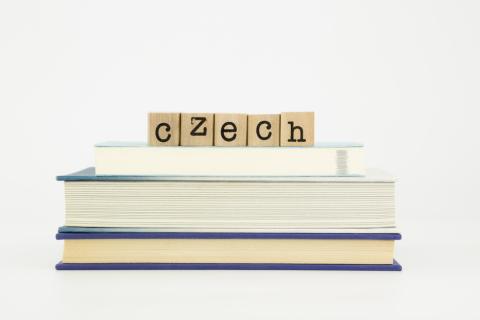 Übersetzer Deutsch Tschechisch
