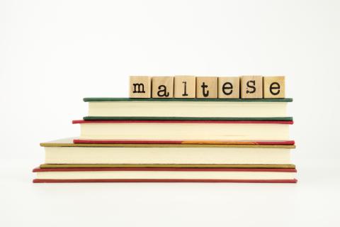 Übersetzungsbüro für Maltesisch Maltesisch Übersetzer