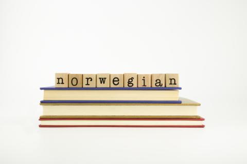 Übersetzungsbüro für Norwegisch Übersetzer Norwegisch